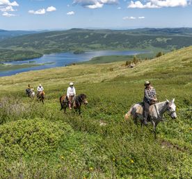 Приключения на Алтае (Чулышман+кони)