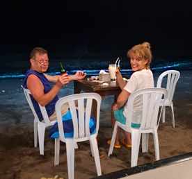 Дельфины, светящийся планктон: 2 дня на Севере Бали