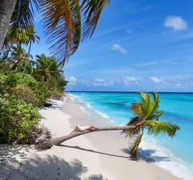 Тодду Magic: ретрит с йогой в гамаках и саунд-хилингом