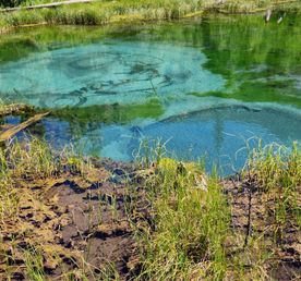 Алтай. Земля Духов И Величия Гор 5 дней
