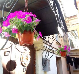 Быт богатых горожан 19века