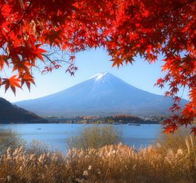 Красные клены в стране самураев