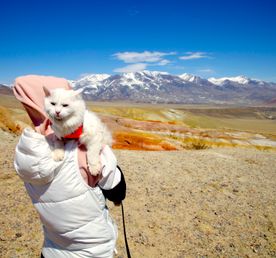 Путешествие к тайнам Горного Алтая
