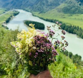 Аюрведа йога-тур Сила гор