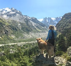 Нетипичное Приэльбрусье с аляскинским маламутом!