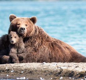 Летний тур 2026 Премиум — 8 дней