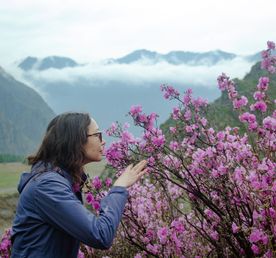 Большое цветение маральника на Алтае 2026