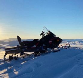 Таёжное царство Алтая