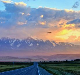 Весь цветущий Алтай