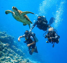 Стань Дайвером — дайвинг кэмп на Мальдивах