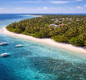 Тропическая дача: райский дайвинг, акулы и релакс