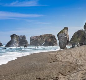 Джип-тур к Величественным Мысам Сахалина: Великан и Птичий