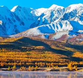 Арт-тур Маашей