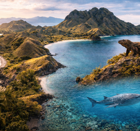 Приключения в Индонезии: неизведанные острова, драконы и морской мир
