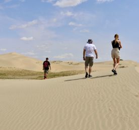 Монголия: С Гор В Пустыню.