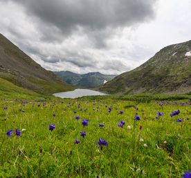 Дыхание Алтая