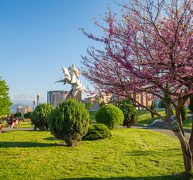 Йога-тур Северная Осетия и Чечня на 9 дней. Перезагрузка.