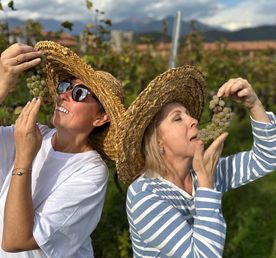 Грузия со вкусом вина: Тбилиси и Кахетия
