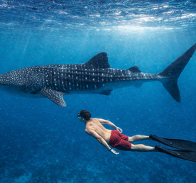 Мальдивы. Сафари по островам. Тропическое приключение в стиле Последний Герой.