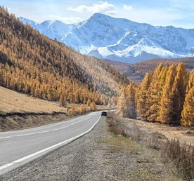 Велопоход Золотая осень на Алтае