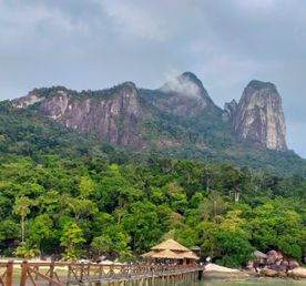 Трекинг В дебрях Малайзии