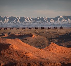 Экспедиция в Монголию