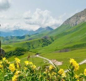 Горная Ингушетия — из Владикавказа.