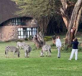 Кения, которая не оставит тебя равнодушным:3 Нац парка,3 гостиницы с животными