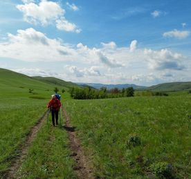 Долгие горы: выполнение программы Степной волк