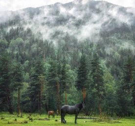 Закат на Бермамыте,виды Джилы-Су и Чегемское ущелье