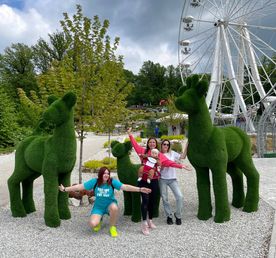 Горячий ключ + Ферма Альпак