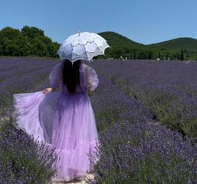 Тур в Лаванду: погружение в атмосферу французского Прованса