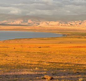 Цветущая Монголия. Озера и Барханы