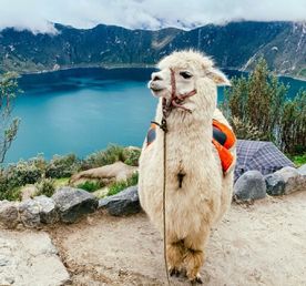 Quilotoa Lake adventure