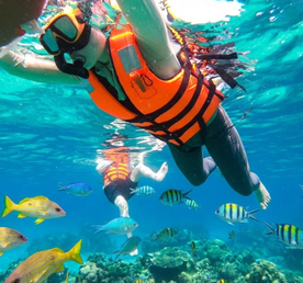 Тропический круиз в Рай Программа полного дневного морского похода