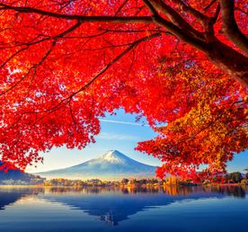 Япония: Алое путешествие