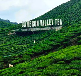 Малайзия: мегаполисы, горы и острова