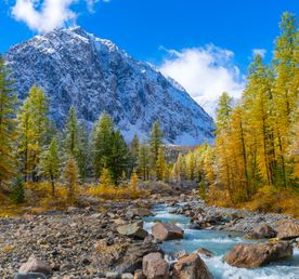 Путешествие Весь Алтай (10 дней)