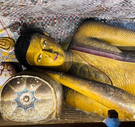 Вибрации Шри-Ланки: практика медитации в топ локациях за 9 дней