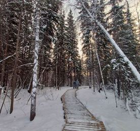 Якутия весной 2026: Красота за полцены!