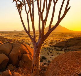Тур в Намибию — путешествие, которое меняет представление об Африке.