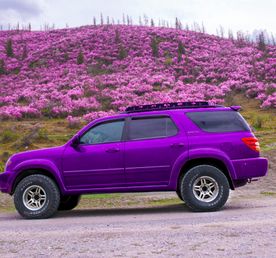 Весенний Маральник на Алтае