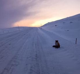 Кинематографичная Териберка