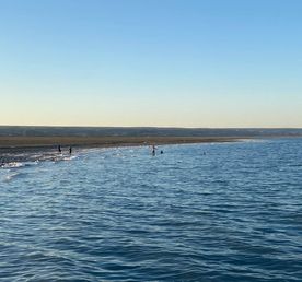 Аральское море и музей Савицкого