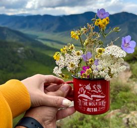 Волшебство Чуйского тракта. Знакомство с одной из самых красивых дорог мира