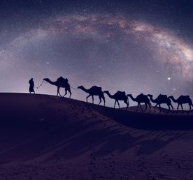 Фототур по Марокко