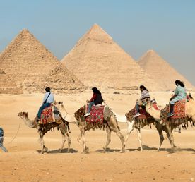 Золотой час Гизы: Закат на верблюдах у подножия пирамид