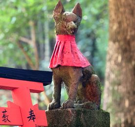 Тур Дух Японии