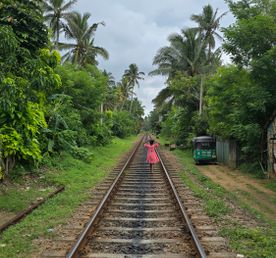 Шри - Ланка: Путешествие к центру земли