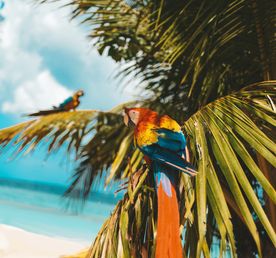 Мальдивы с психологом для обретения душевного равновесия